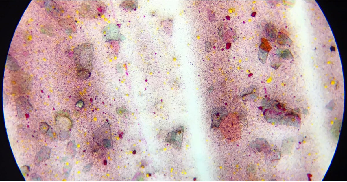 Lipsticks Under a Microscope POPSUGAR Beauty