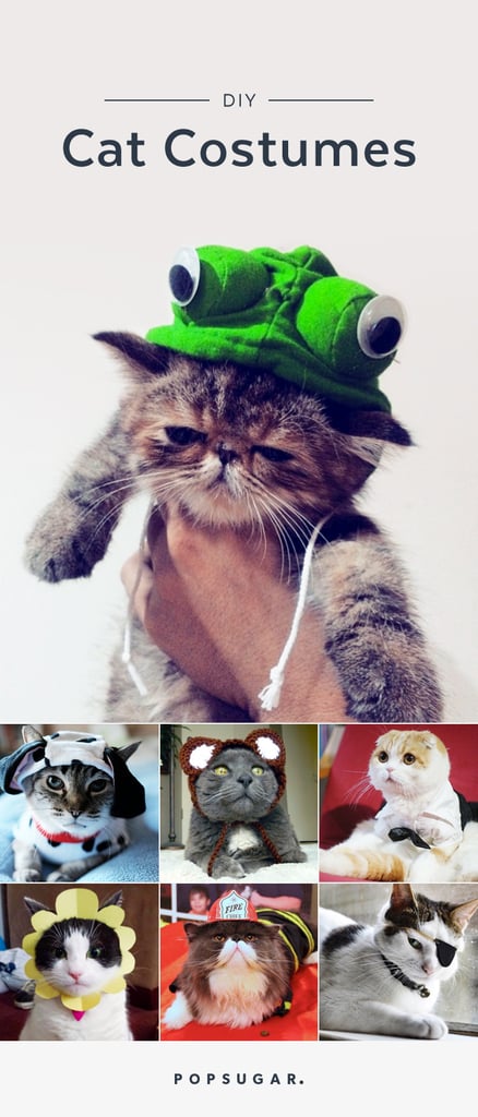 DIY Cat Costumes | POPSUGAR Australia Smart Living