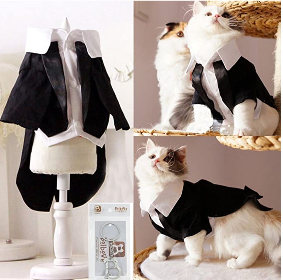 Handsome Prince Cat Bridegroom Wedding Tuxedo