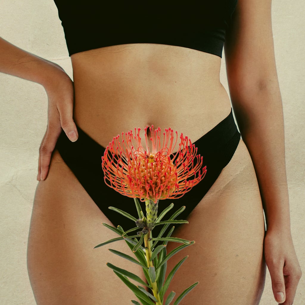 A Love Letter to My Big, Bushy, 1970s-Esque Pubic Hair