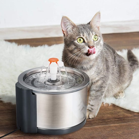 Cat Water Fountain on Sale For Amazon Prime Day 2021