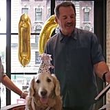 Birthday Party For Sept. 11 Rescue Dog | POPSUGAR Pets