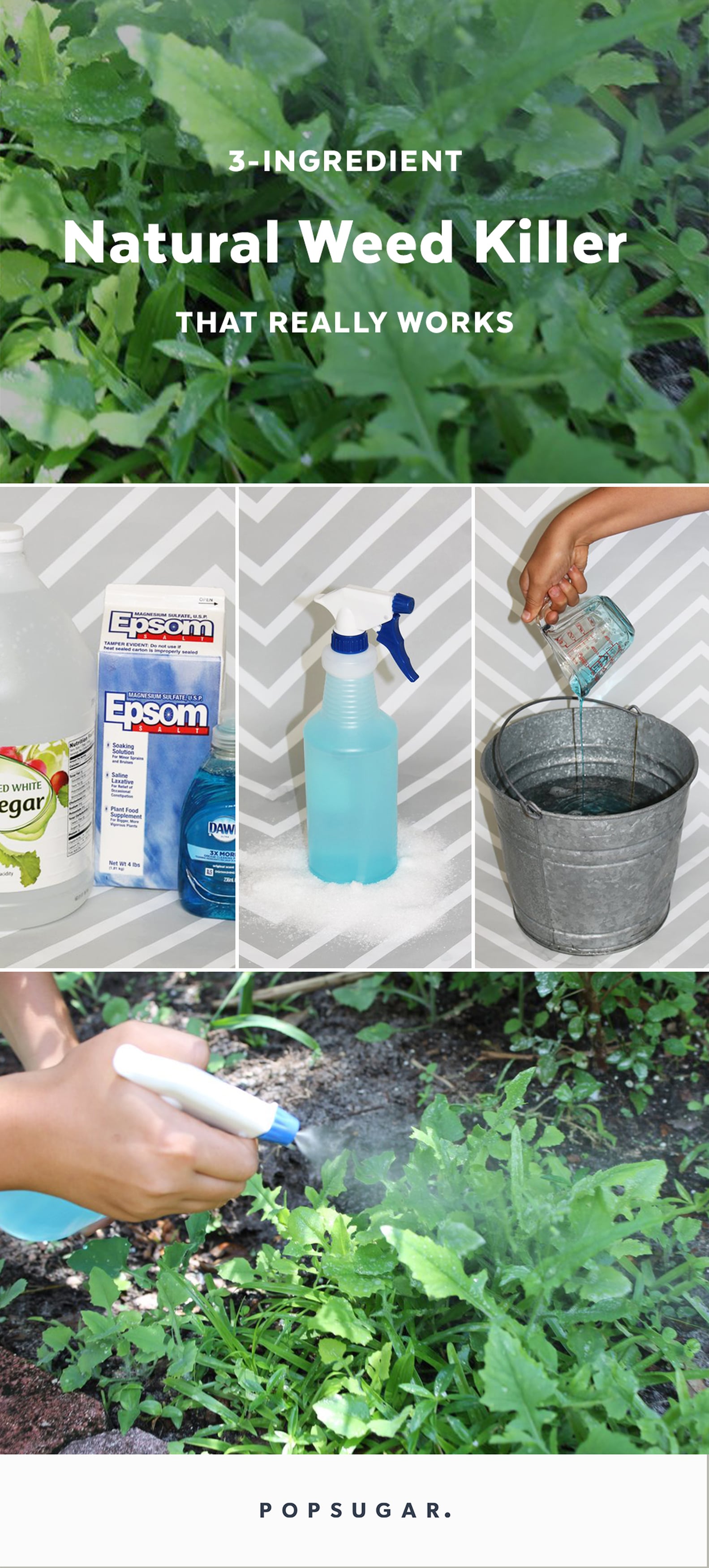 Natural Weed Killer Recipe With 3 Ingredients | POPSUGAR Home