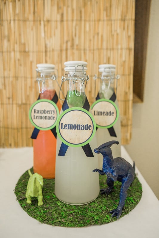 Dinosaur Kids' Birthday Party Ideas