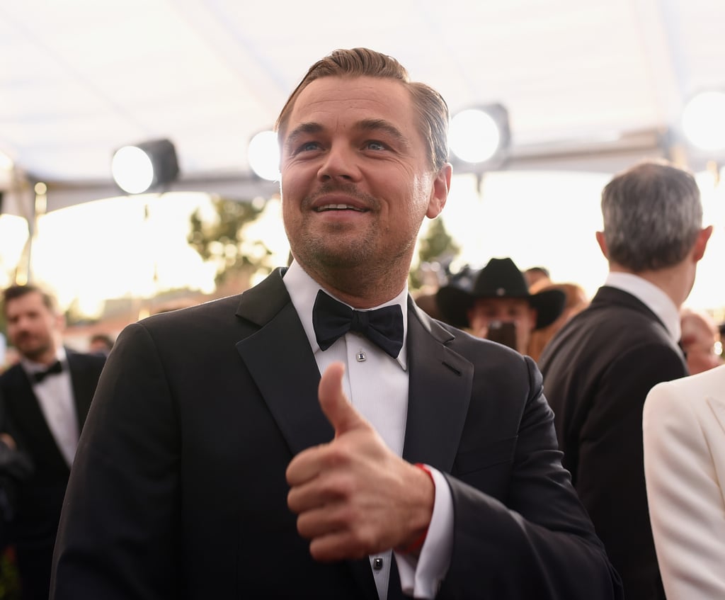 Pictured: Leonardo DiCaprio
