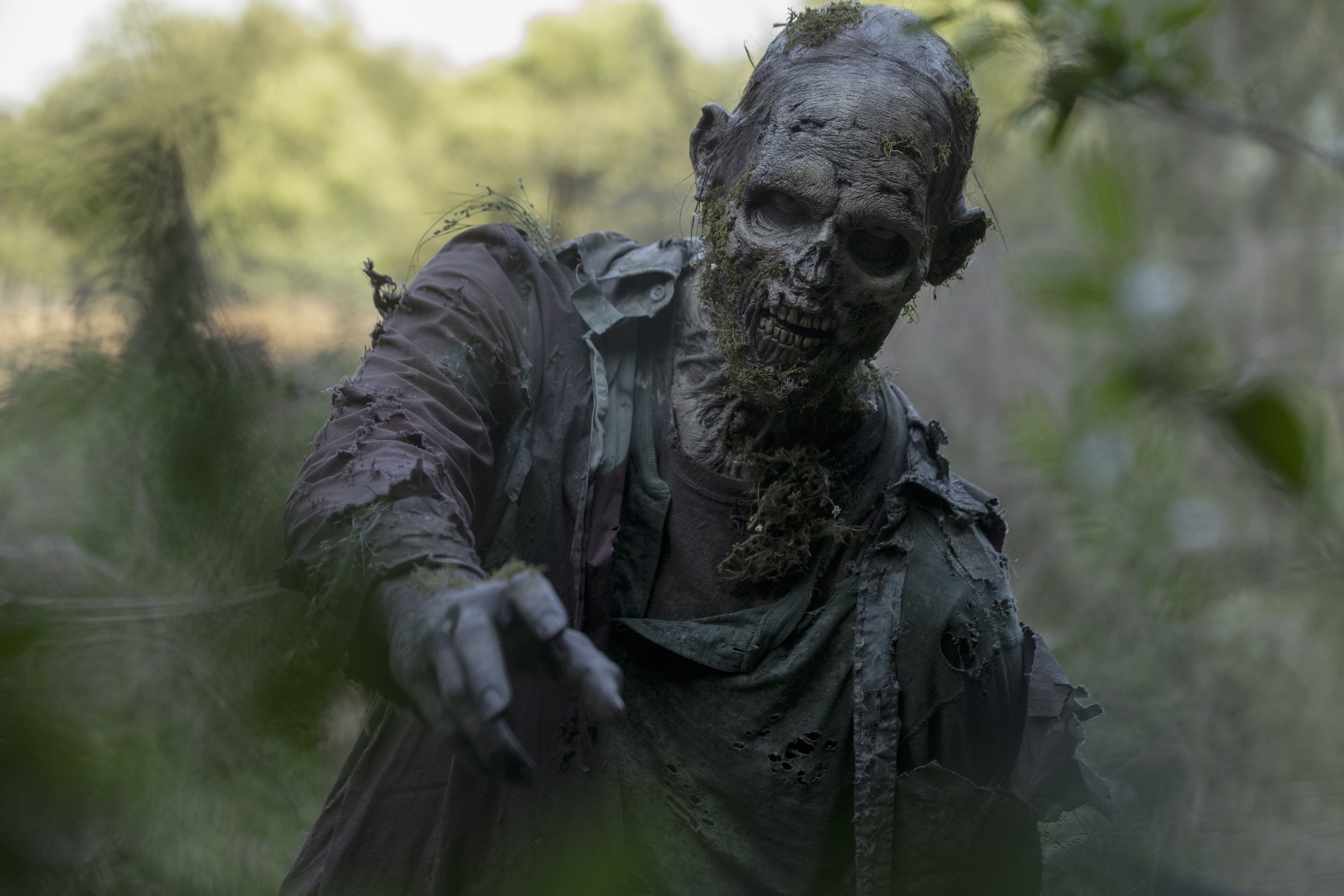 The walking dead on sale full season 10
