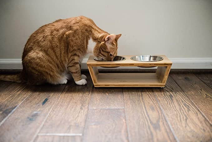 Premium Elevated Dog and Cat Pet Feeder