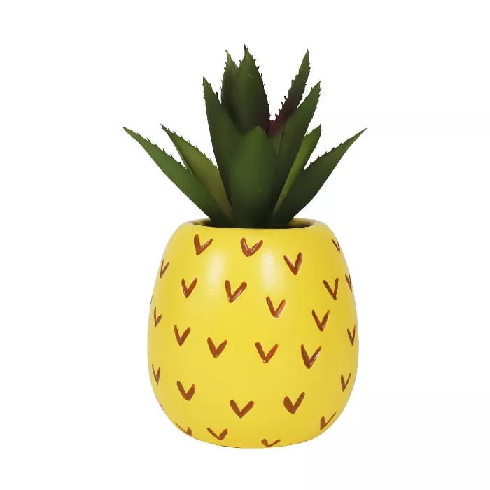 Character Succulent Pineapple