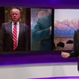Watch Samantha Bee Hilariously Compare Congress to a "Puppy Discovering a Dildo"