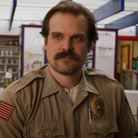 Hot Pictures of Jim Hopper on Stranger Things
