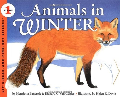 Animals in Winter