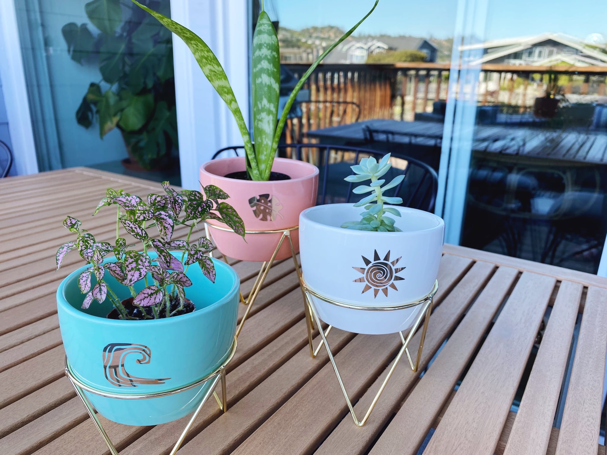 Cute Indoor Planters at Target Editor Review 2021 POPSUGAR Home UK