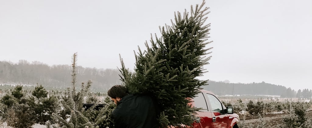 Will It Be Safe to Get a Real Christmas Tree This Year?