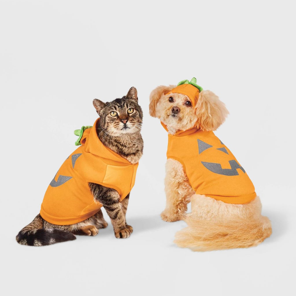 一个典型的:海德&唷!精品反光鬼火南瓜帽衫狗和猫服装