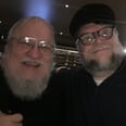 George R.R. Martin and Guillermo del Toro Are Buddies — Yes, They're Aware They Look Alike
