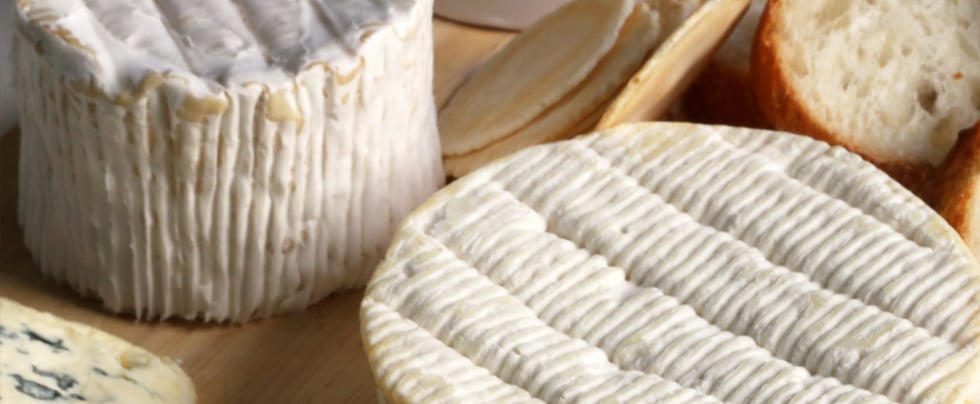 What's the Different Between Brie and Camembert Cheese?