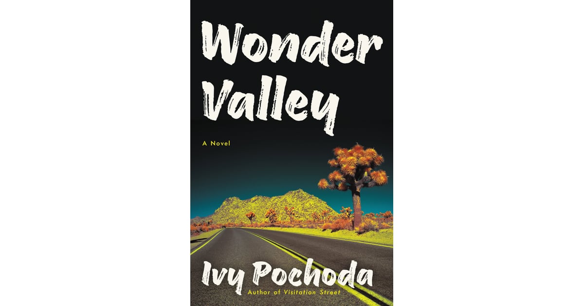 wonder valley book review