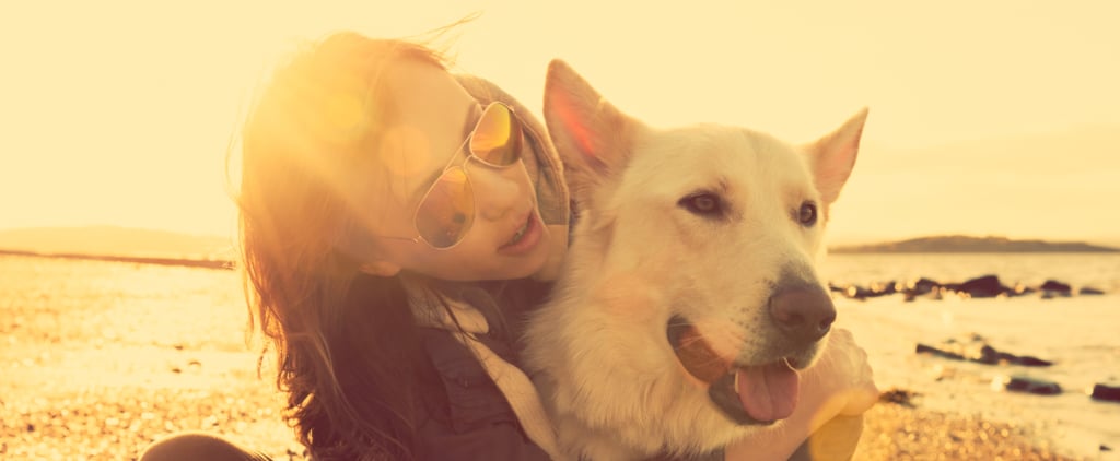 Rescue Dog Helps Woman Find Love