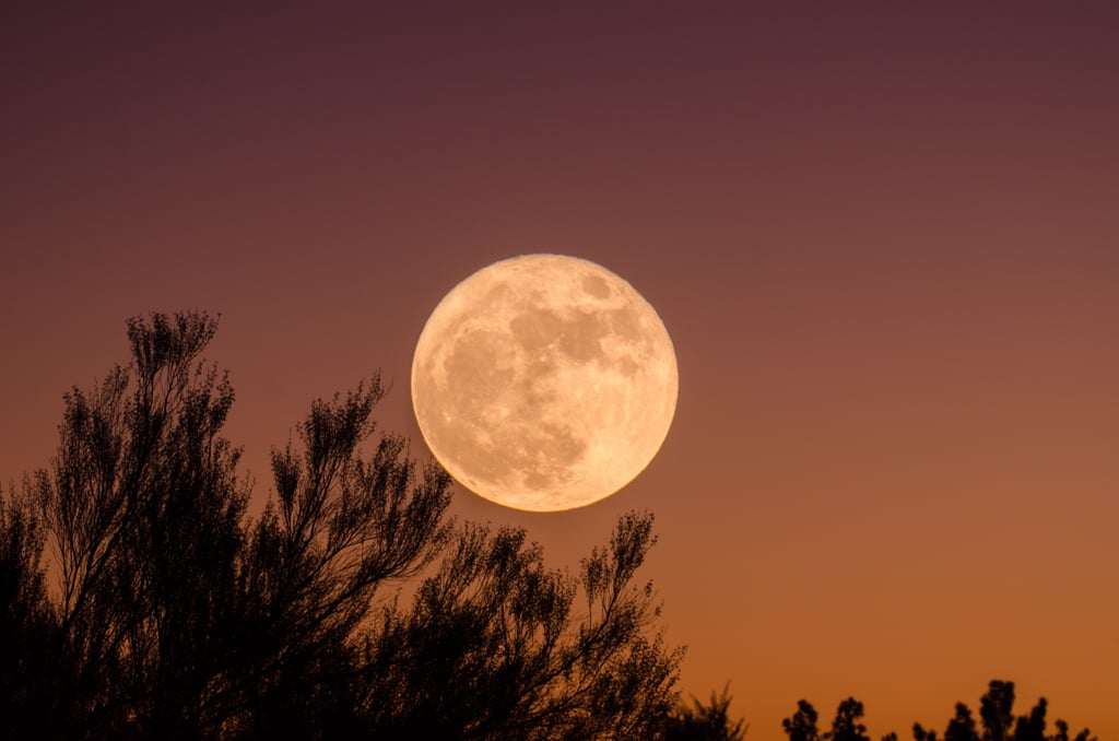 Sturgeon Moon A Breakdown of Every Full Moon and What It Means