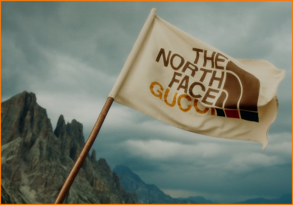 The North Face x Gucci Collaboration