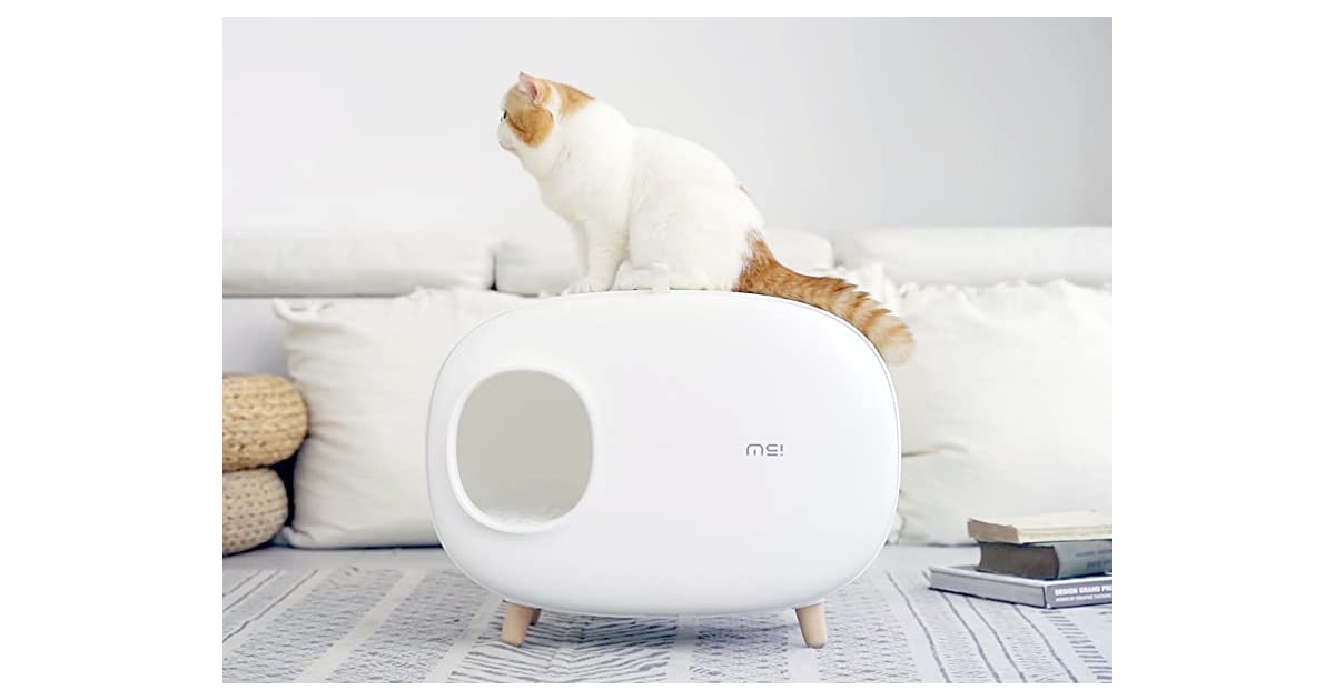 MS Cat Litter Box Best Pets Products on Amazon Launchpad POPSUGAR