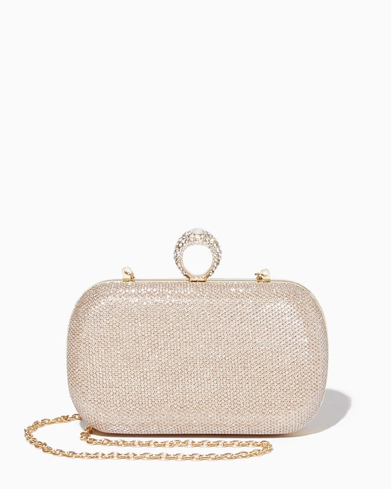 Charming Charlie Shimmer Ring Box Clutch ($35)