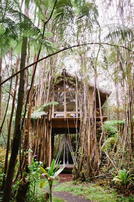 Tree House in Hawaii