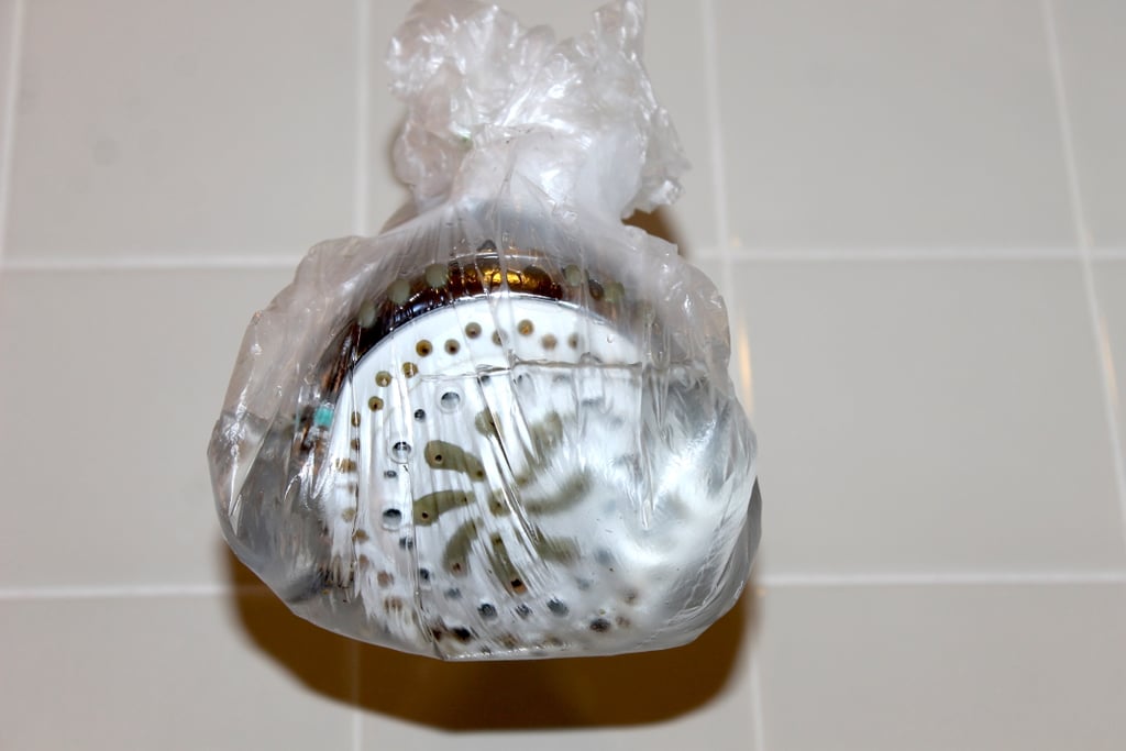The showerhead may not be something you think about cleaning very