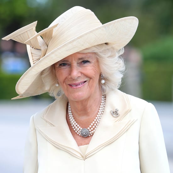 Is Camilla Parker Bowles the Princess of Wales?