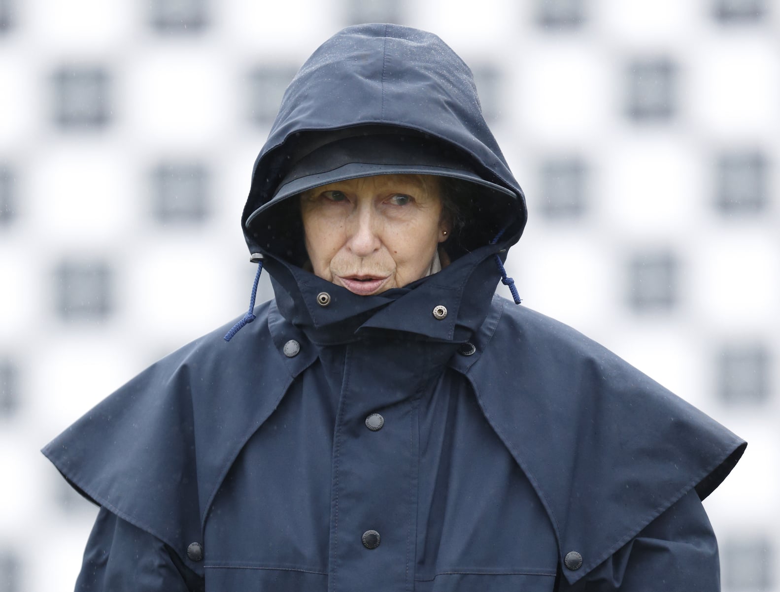 Funny Photos of Princess Anne | PS Celebrity