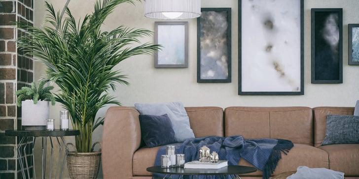 How to Create a Cozy Home | POPSUGAR Home