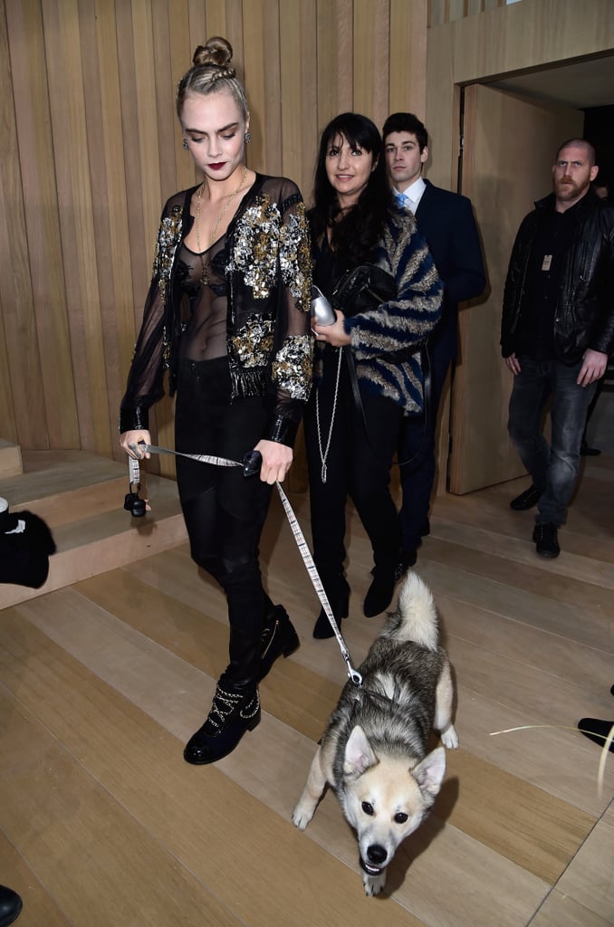 Image Result For Cara Delevingne Brought Her Dog To The Chanel Couture Show Image Result For Cara Delevingne Brought Her Dog To The Chanel Couture Show