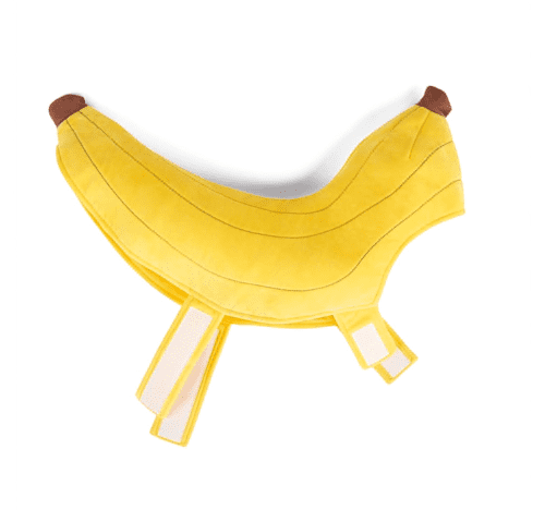 Petco Halloween Costumes: Banana