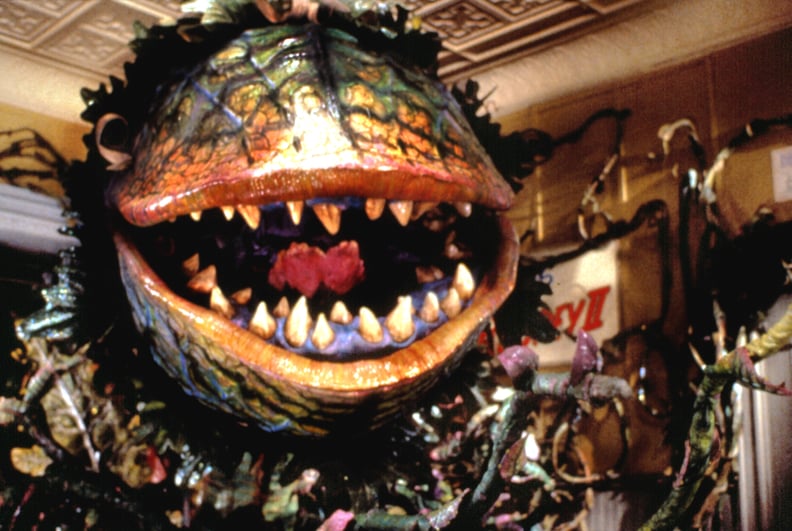 Alaska: Little Shop of Horrors