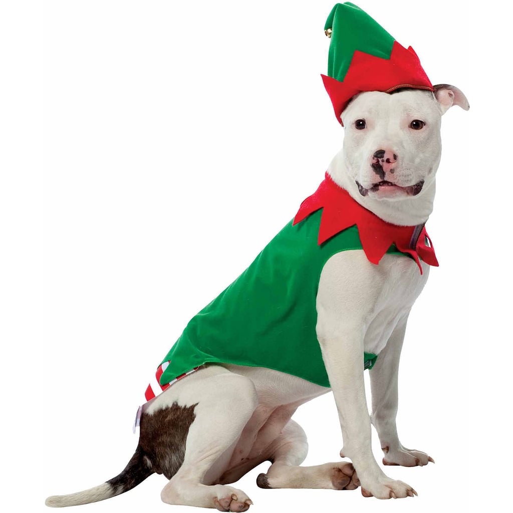 Holiday Elf Dog Outfit