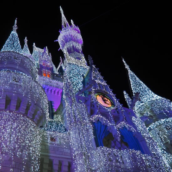 Reasons You Should Visit Disney World at Christmas