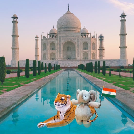 Internet Photoshops Child's Lost Toy