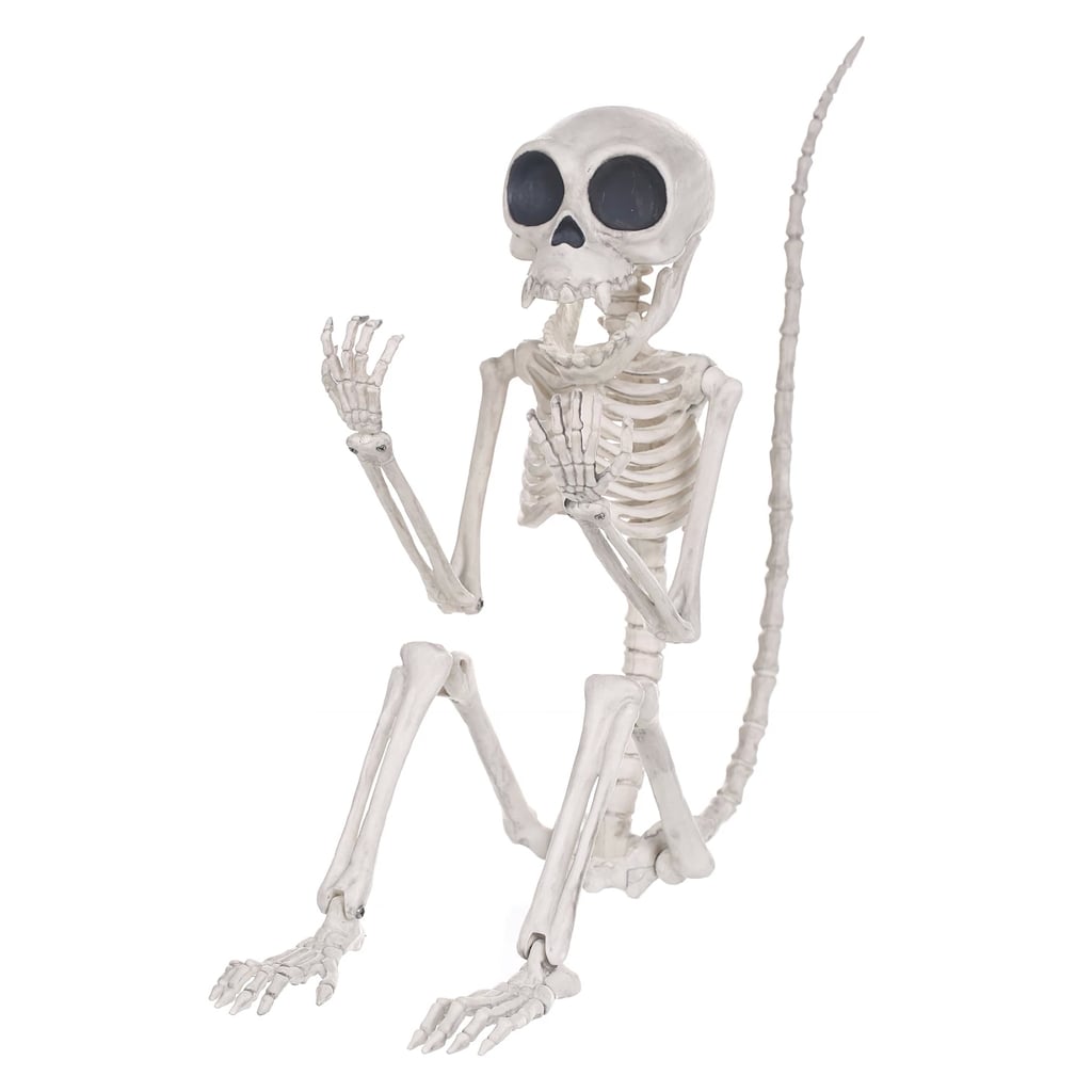 Halloween Monkey Skeleton