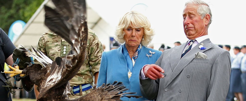 Prince Charles Camilla Freak Out at Eagle