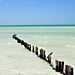 Isla Holbox Tips