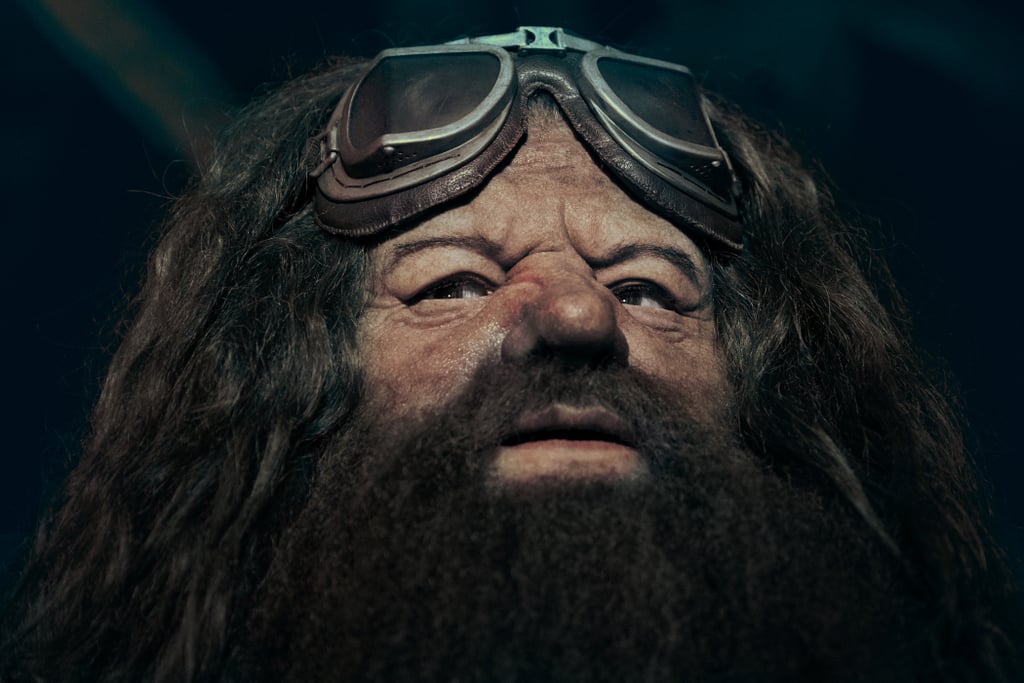 Photos of Hagrid’s Magical Creatures Motorbike Adventure