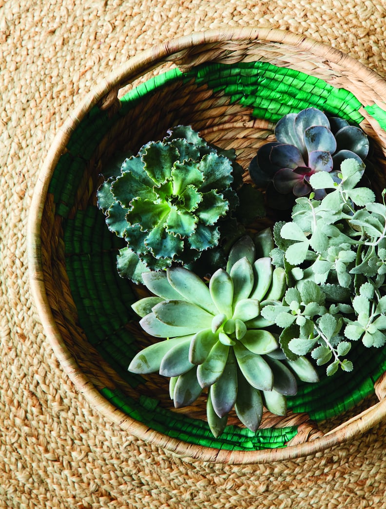 Global Seagrass Basket Collection