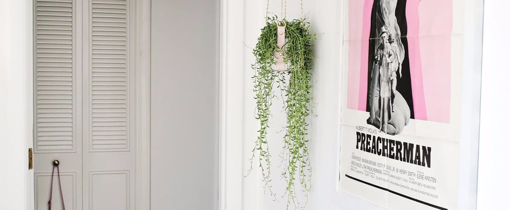 How to Make an Urban Garden