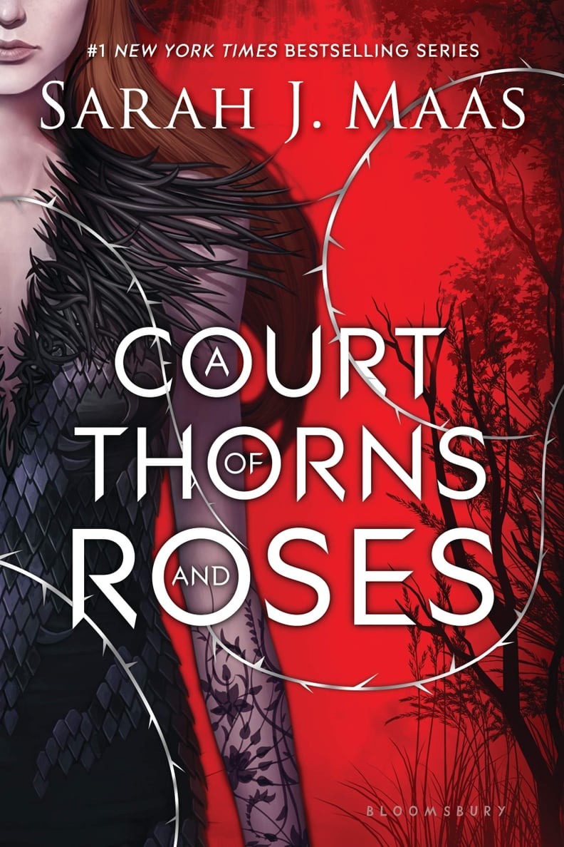 A Court of Thorns and Roses Series by Sarah J Maas