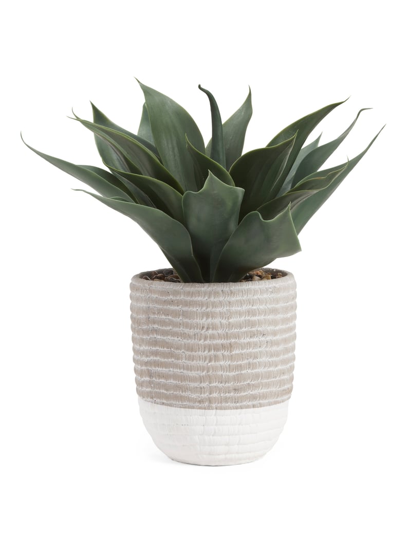 Faux Agave in Cement Pot