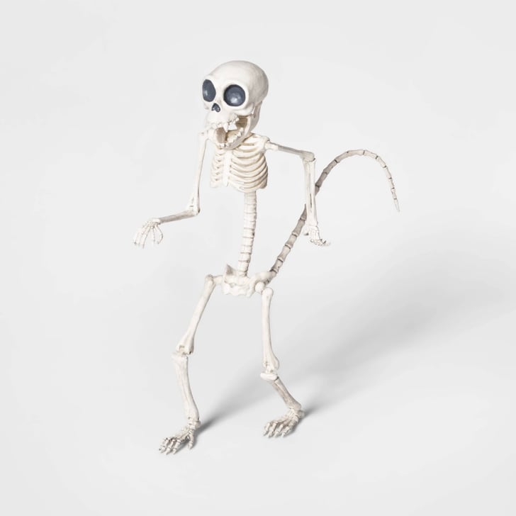 Monkey Skeleton Best Target Outdoor Halloween