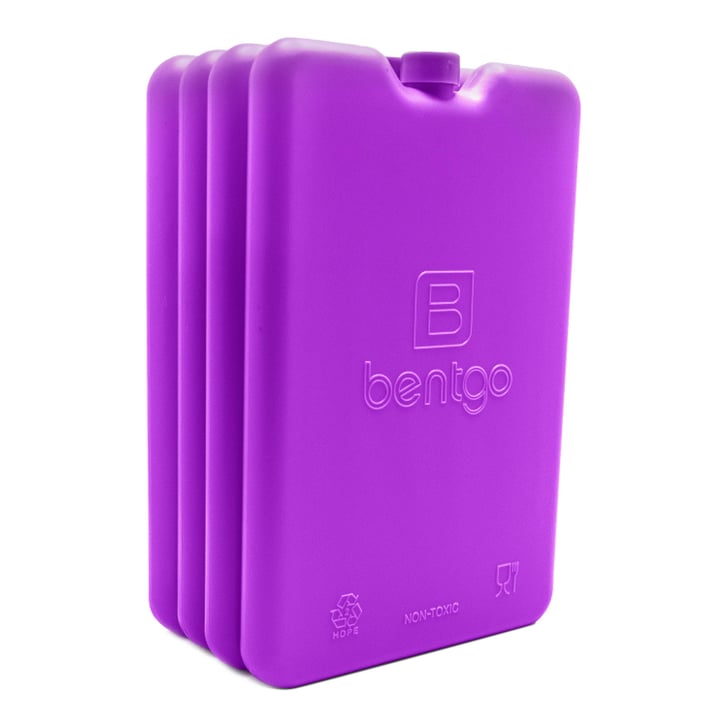 Cartable ice pack clearance