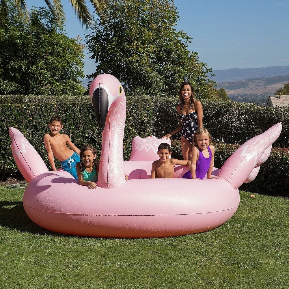 Sun Pleasure Flamingo Sprayer Pool