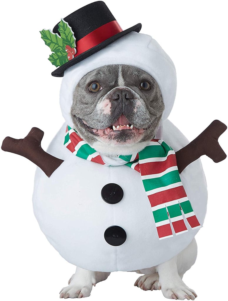 Snowman Dog Costume