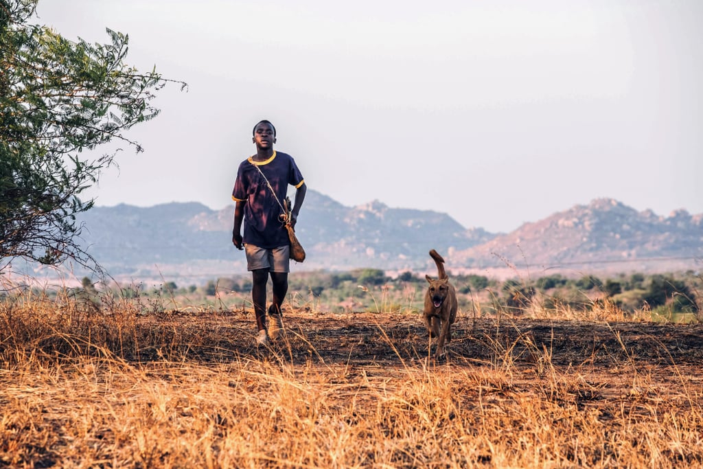 The Boy Who Harnessed the Wind